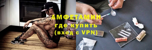 дмт Болотное
