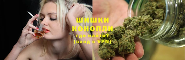 сатива Осташков