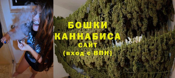 сатива Осташков