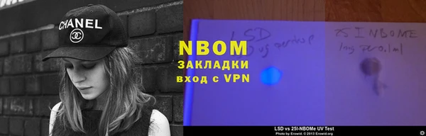 дмт Болотное