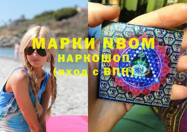 сатива Осташков