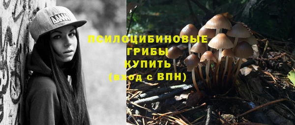 мдпв Остров