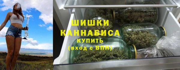 сатива Осташков