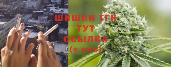 сатива Осташков