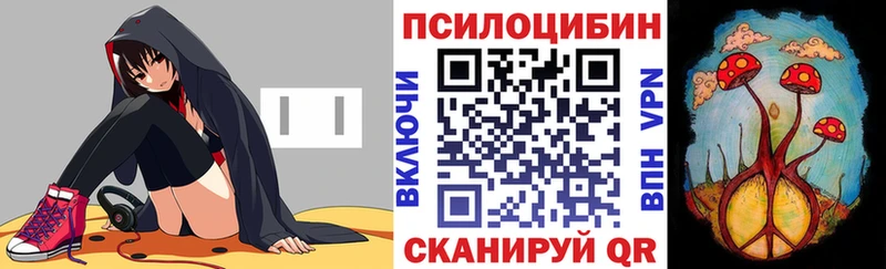 ОМГ ОМГ зеркало  Фрязино  Псилоцибиновые грибы Psilocybe  продажа наркотиков 