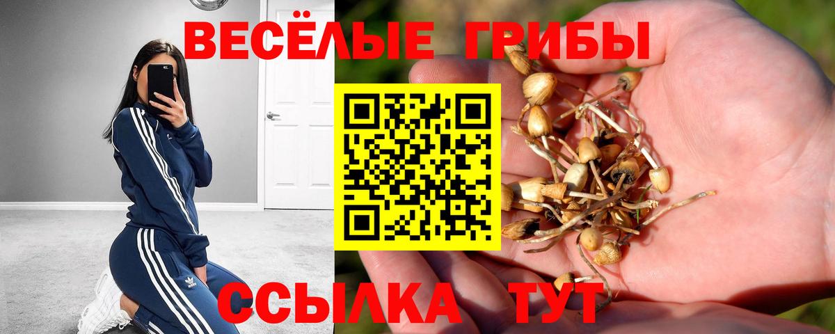 Фрязино  Псилоцибиновые грибы мицелий  хочу наркоту  Вход с VPN 